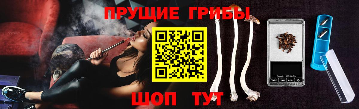 Псилоцибиновые грибы Psilocybe Владикавказ